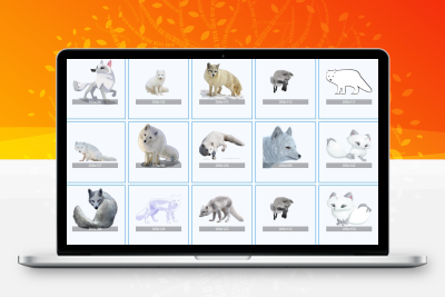 北极狐动物图案免扣透明PNG素材-一个洞